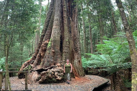 Cruise Ship Excursion: Stanley - Accommodation 4U 20