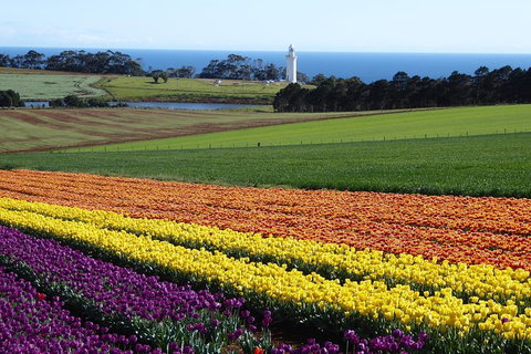 Cruise Ship Excursion: Stanley - Accommodation 4U 18