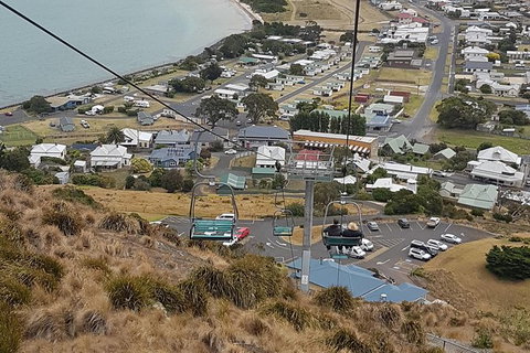 Cruise Ship Excursion: Stanley - Accommodation 4U 14