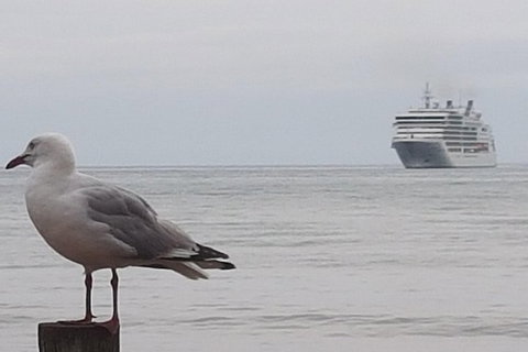 Cruise Ship Excursion: Stanley - Accommodation 4U 9