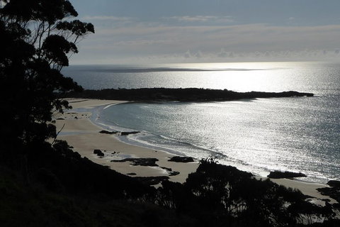 Cruise Ship Excursion: Stanley - Accommodation 4U 24