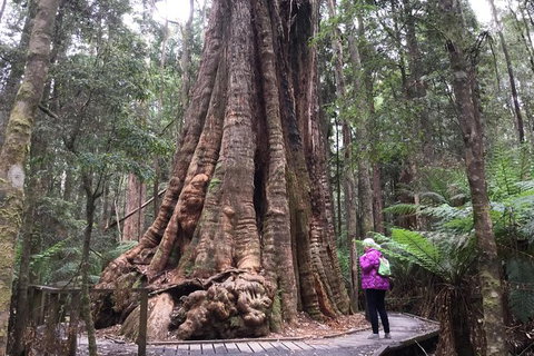 Cruise Ship Excursion: Stanley - Accommodation 4U 11