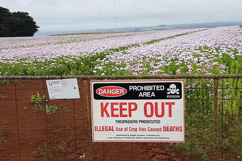 Cruise Ship Excursion: Stanley - Accommodation 4U 23