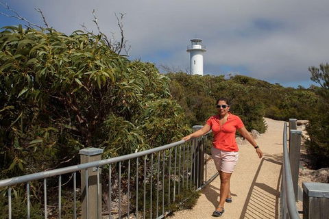 Half-Day Tour To Wineglass Bay From Launceston With Guide - Accommodation 4U 2