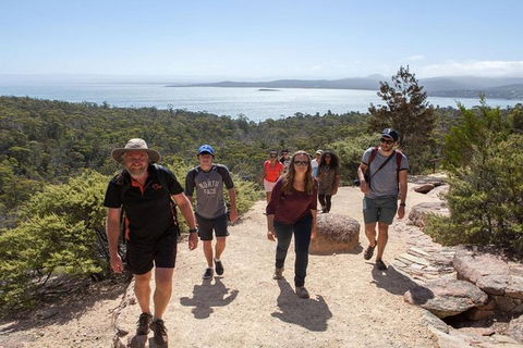 Half-Day Tour To Wineglass Bay From Launceston With Guide - Accommodation 4U 4