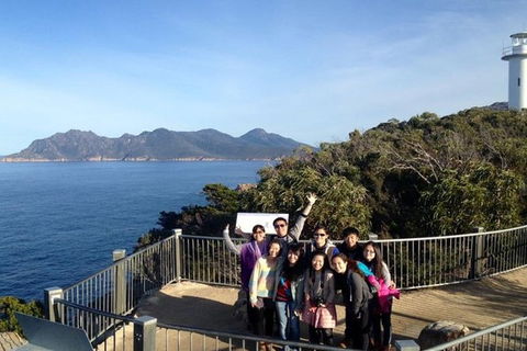 Half-Day Tour To Wineglass Bay From Launceston With Guide - Accommodation 4U 3
