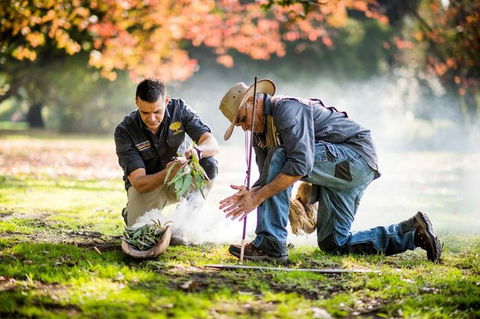 Aboriginal Heritage Walk - Royal Botanic Gardens Victoria, Melbourne Gardens - Accommodation 4U 0