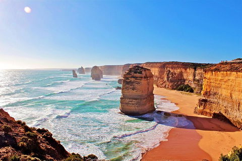 LGBT+ Friendly 12-Hour Great Ocean Road Private Tour - Accommodation 4U 5