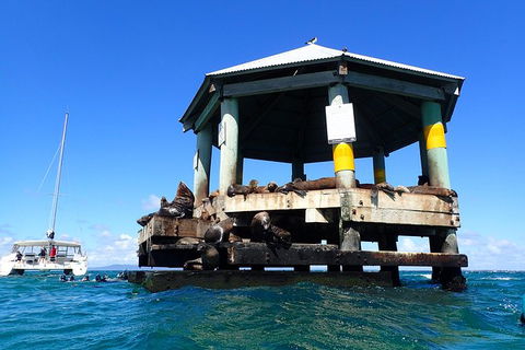 Sailing Cruise With Seals - Accommodation 4U 1