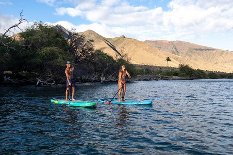 Stand Up Paddle Boarding Hire - Accommodation 4U 2