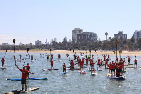 Stand Up Paddle Boarding Hire - Accommodation 4U 5