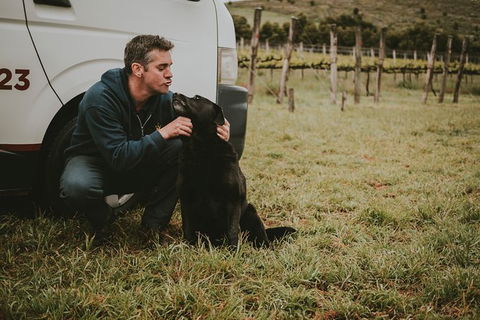 Daylesford Private, Corporate, Group Wine Tours: Wine, Cider, Gin, Vodka, Port! - Accommodation 4U 3