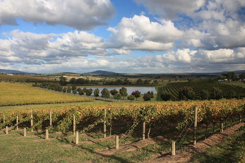 LGBT+ Friendly Full Day Yarra Valley & Dandenong Ranges Private Tour - Accommodation 4U 0