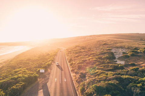 LGBT+ Friendly 2 Day Private Great Ocean Road Tour - Accommodation 4U 1
