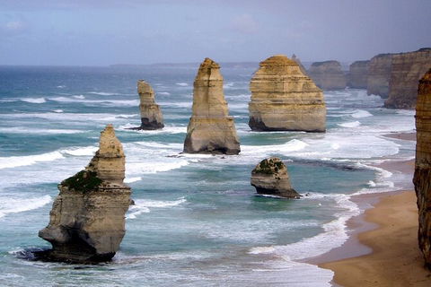 LGBT+ Friendly 2 Day Private Tour Great Ocean Road + Phillip Island - Accommodation 4U 0
