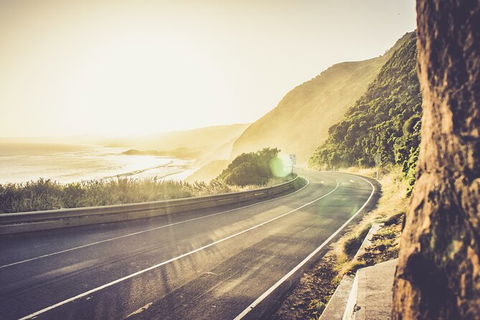 LGBT+ Friendly 2 Day Private Tour Great Ocean Road + Phillip Island - Accommodation 4U 3
