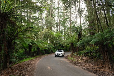 LGBT+ Friendly 3 Day Tour The Grampians, Daylesford & Ballarat - Accommodation 4U 1