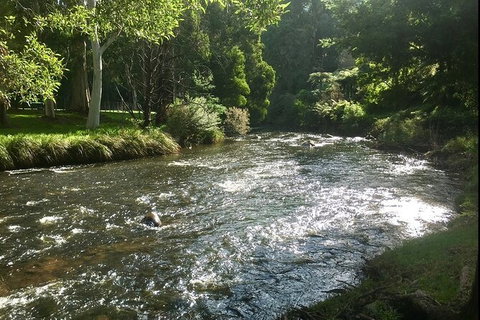 Watertube Experience In Yarra River - Accommodation 4U 3