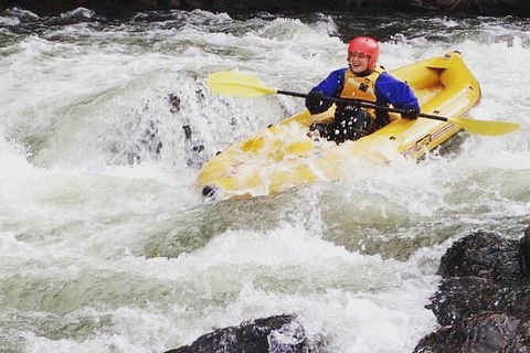 Yarra River Half-Day Rafting Experience - Accommodation 4U 4