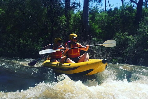 Yarra River Half-Day Rafting Experience - Accommodation 4U 0