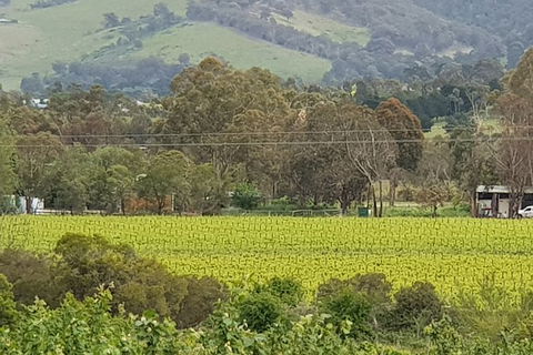 Day Tour Of Yarra Valley Puffing Billy And Rayners Orchard - Accommodation 4U 44