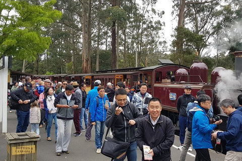 Day Tour Of Yarra Valley Puffing Billy And Rayners Orchard - Accommodation 4U 3