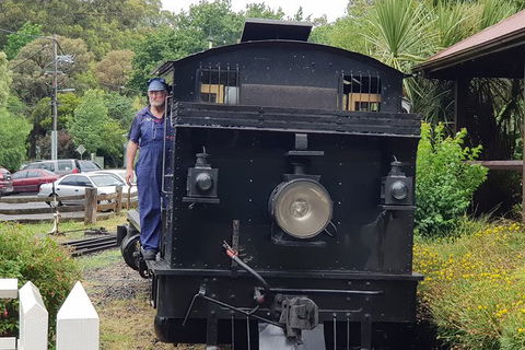 Day Tour Of Yarra Valley Puffing Billy And Rayners Orchard - Accommodation 4U 11