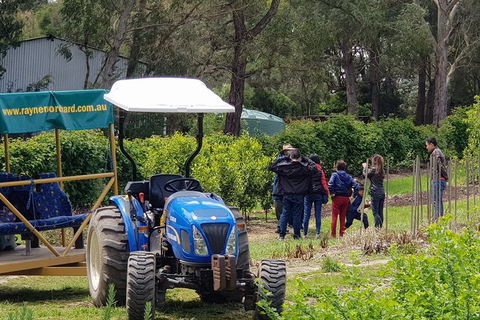 Day Tour Of Yarra Valley Puffing Billy And Rayners Orchard - Accommodation 4U 10