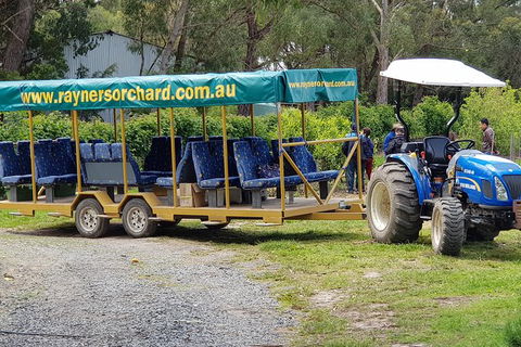 Day Tour Of Yarra Valley Puffing Billy And Rayners Orchard - Accommodation 4U 48