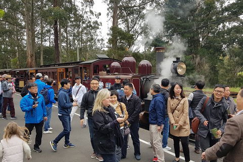 Day Tour Of Yarra Valley Puffing Billy And Rayners Orchard - Accommodation 4U 18