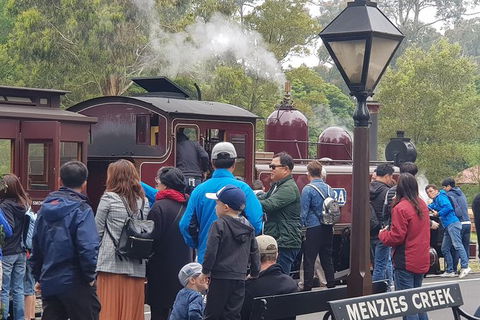Day Tour Of Yarra Valley Puffing Billy And Rayners Orchard - Accommodation 4U 40