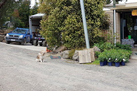 Day Tour Of Yarra Valley Puffing Billy And Rayners Orchard - Accommodation 4U 6