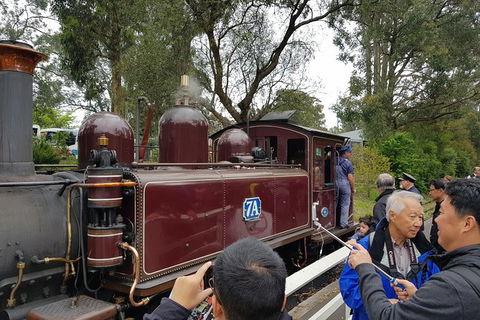 Day Tour Of Yarra Valley Puffing Billy And Rayners Orchard - Accommodation 4U 28