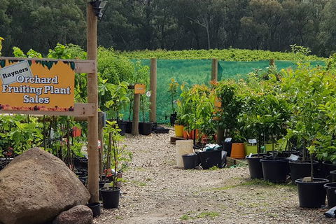 Day Tour Of Yarra Valley Puffing Billy And Rayners Orchard - Accommodation 4U 22