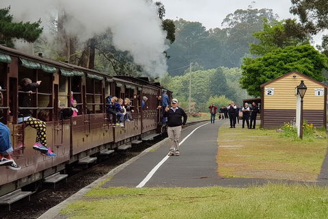 Day Tour Of Yarra Valley Puffing Billy And Rayners Orchard - Accommodation 4U 0