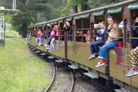 Day Tour Of Yarra Valley Puffing Billy And Rayners Orchard - Accommodation 4U 13