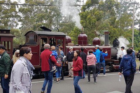 Day Tour Of Yarra Valley Puffing Billy And Rayners Orchard - Accommodation 4U 4