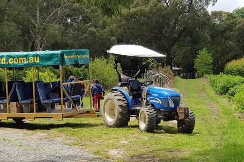 Day Tour Of Yarra Valley Puffing Billy And Rayners Orchard - Accommodation 4U 25