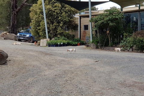Day Tour Of Yarra Valley Puffing Billy And Rayners Orchard - Accommodation 4U 26