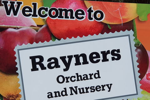 Day Tour Of Yarra Valley Puffing Billy And Rayners Orchard - Accommodation 4U 20