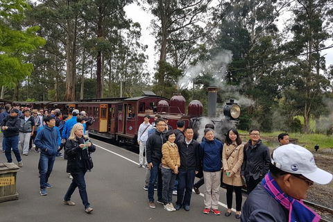 Day Tour Of Yarra Valley Puffing Billy And Rayners Orchard - Accommodation 4U 9