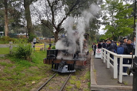 Day Tour Of Yarra Valley Puffing Billy And Rayners Orchard - Accommodation 4U 43