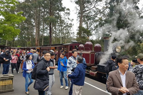 Day Tour Of Yarra Valley Puffing Billy And Rayners Orchard - Accommodation 4U 12