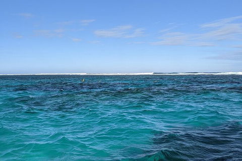 Marine Eco Safari - Swim With Manta Rays - Accommodation 4U 2