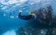 Ningaloo Adventure And Manta Ray Tour - thumb 6