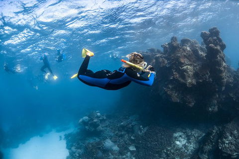 Ningaloo Adventure And Manta Ray Tour - Accommodation 4U 6