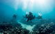 Ningaloo Adventure And Manta Ray Tour - thumb 4