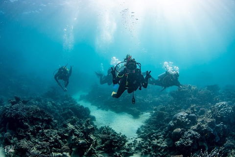 Ningaloo Adventure And Manta Ray Tour - Accommodation 4U 4