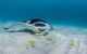 Ningaloo Adventure And Manta Ray Tour - thumb 2