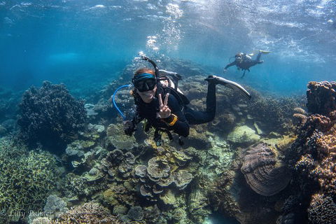 Ningaloo Adventure And Manta Ray Tour - Accommodation 4U 0